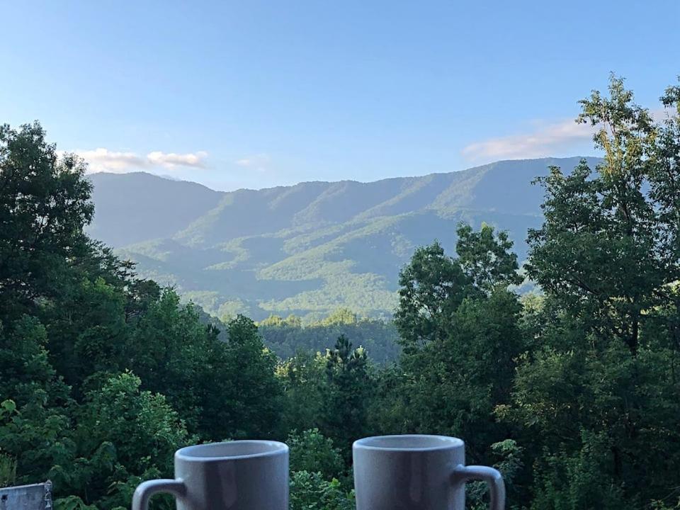 Tennessee Roots By Stony Brook Cabins 蓋特林堡 外观 照片